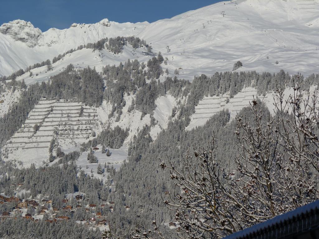 Chalet Des Alpes - Sunset View - كرانز مونتانا المظهر الخارجي الصورة