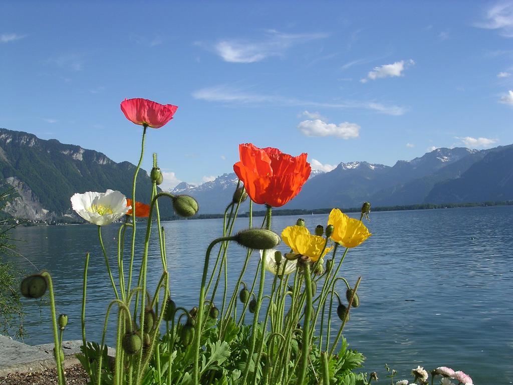 Chalet Des Alpes - Sunset View - كرانز مونتانا المظهر الخارجي الصورة
